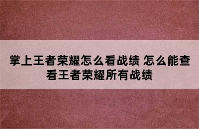 掌上王者荣耀怎么看战绩 怎么能查看王者荣耀所有战绩